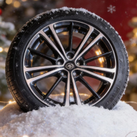 Radno vreme povodom predstojećih praznika