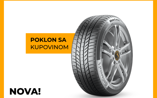 WinterContact TS 870 P zimske gume