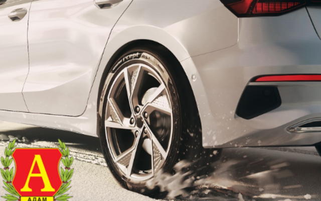 Zimska guma Hankook W463 RS3