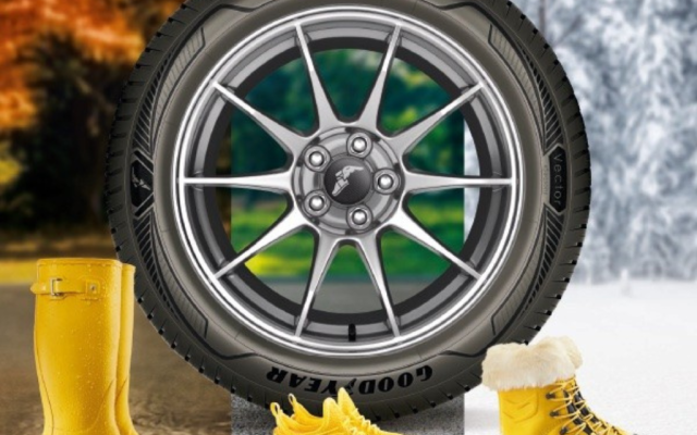 Goodyear univerzalne gume