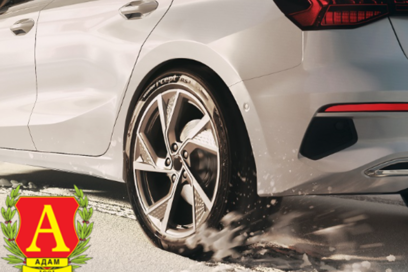 Zimska guma Hankook W463 RS3